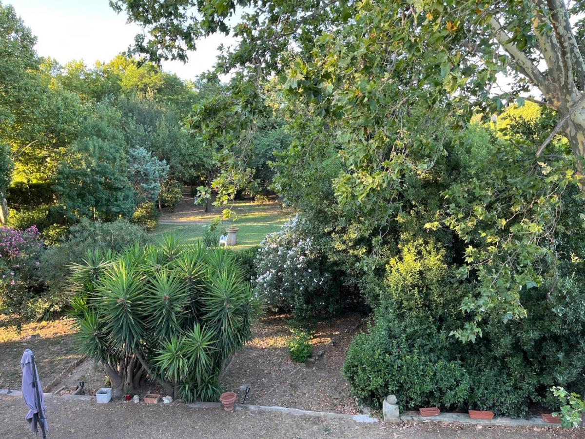 Sci Domaine Saint Martin Le Grand Villa Béziers Buitenkant foto