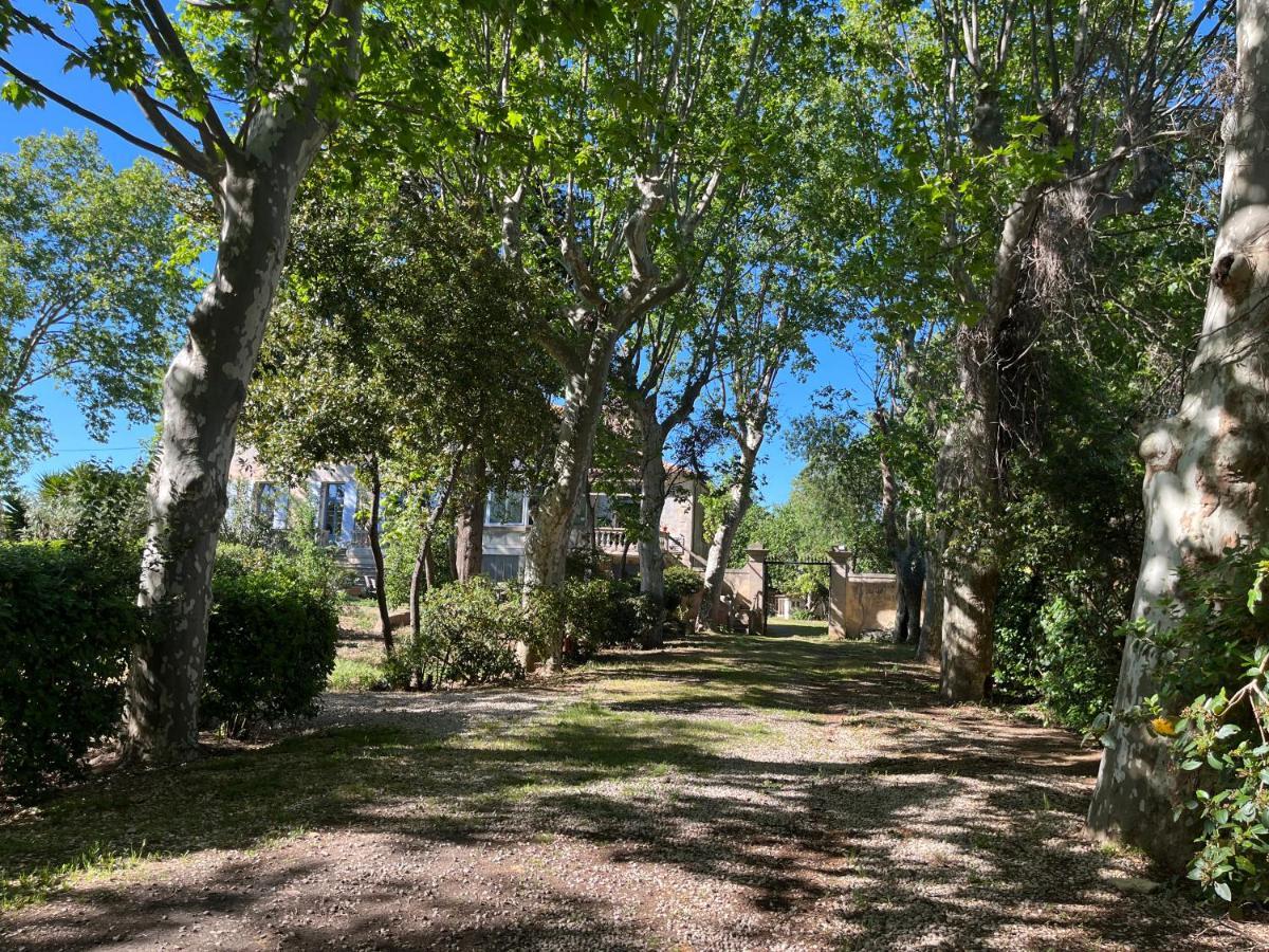Sci Domaine Saint Martin Le Grand Villa Béziers Buitenkant foto
