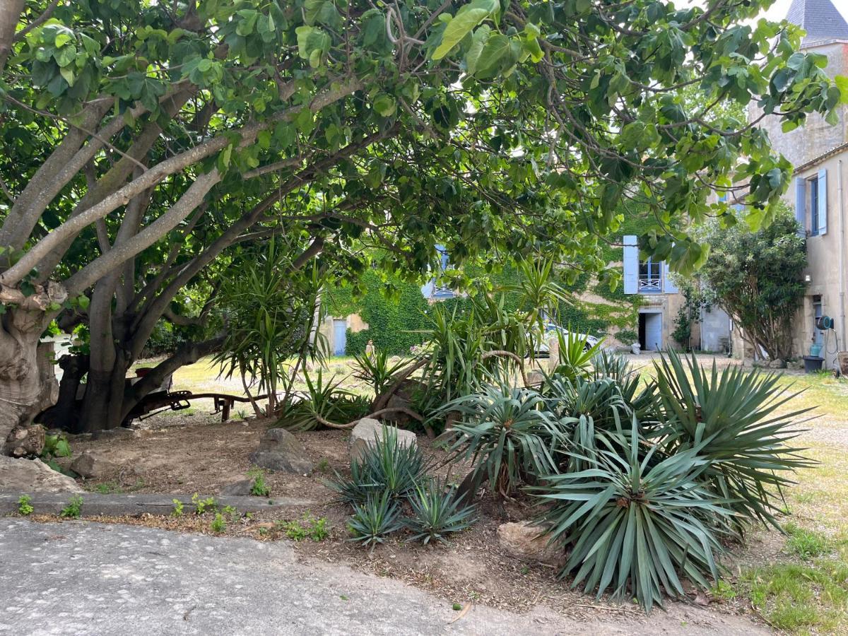 Sci Domaine Saint Martin Le Grand Villa Béziers Buitenkant foto